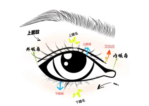 睫毛根部做双眼皮的好处