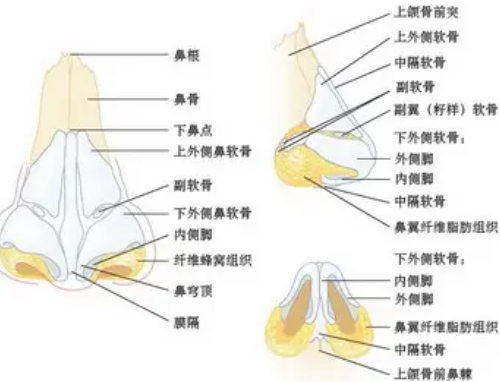 广州做鼻子哪个医生好