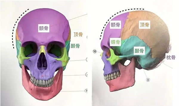 头包脸怎么填充好看