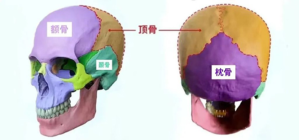 头包脸怎么填充好看