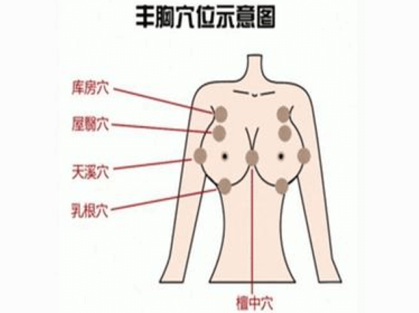 针灸丰胸穴位示意图