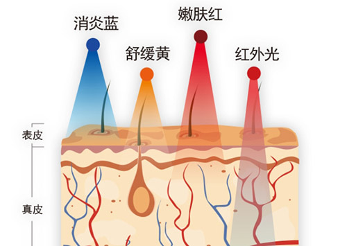 m22作用是什么