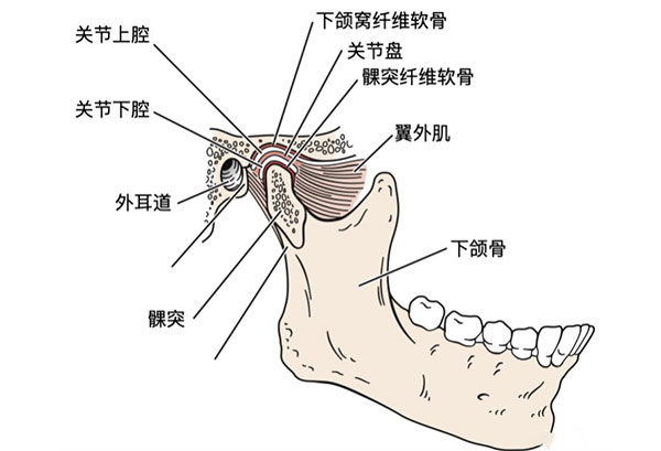 怎么确定下颌骨错位了