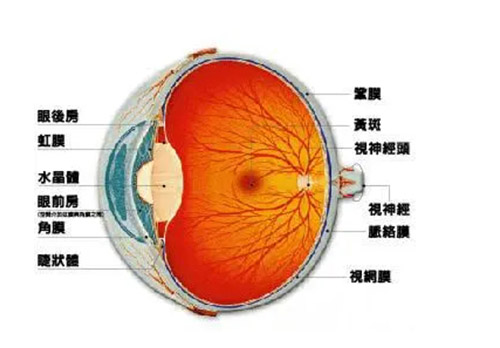 视网膜色斑病变怎么治疗