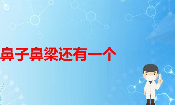 鼻子鼻梁还有一个月就要过年了，你们打算怎么呢？双眼皮