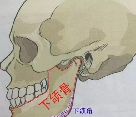 切骨疼不疼?价格是多少