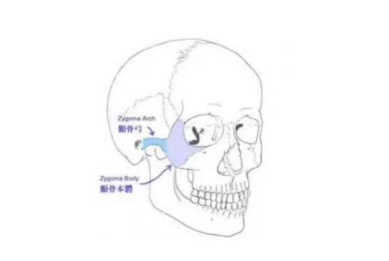 一般3d颧骨旋转的价格是多少，哪些影响价格？