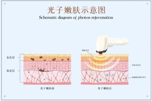 QQ截图20220330104028.jpg