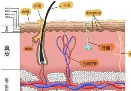 面部填充自体脂肪填充后为何不能马上洗脸?