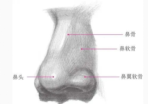 骨雕隆鼻用的是什么材料？有没有大家中意的