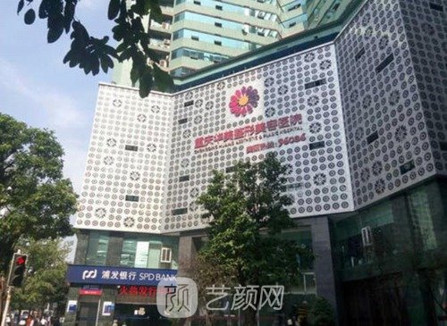 重庆当代好还是华美好？技术、口碑、实力综合对比