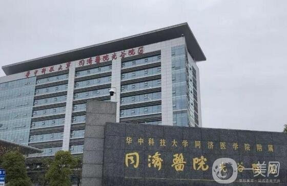 湖北整形医院哪家好【10家医美人气比拼】