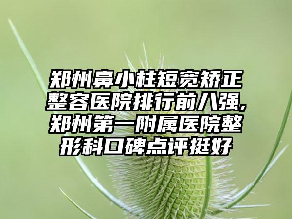 郑州鼻小柱短宽矫正整容医院排行前八强,郑州第一附属医院整形科口碑点评挺好