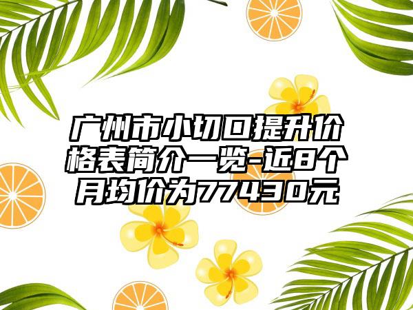 广州市小切口提升价格表简介一览-近8个月均价为77430元