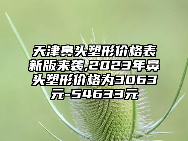 天津鼻头塑形价格表新版来袭,2023年鼻头塑形价格为3063元-54633元