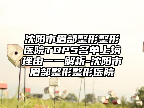 沈阳市眉部整形整形医院TOP5名单上榜理由一一解析-沈阳市眉部整形整形医院