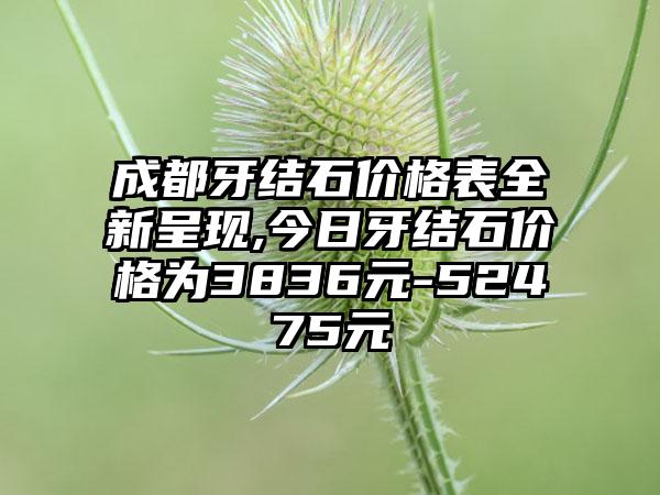 成都牙结石价格表全新呈现,今日牙结石价格为3836元-52475元