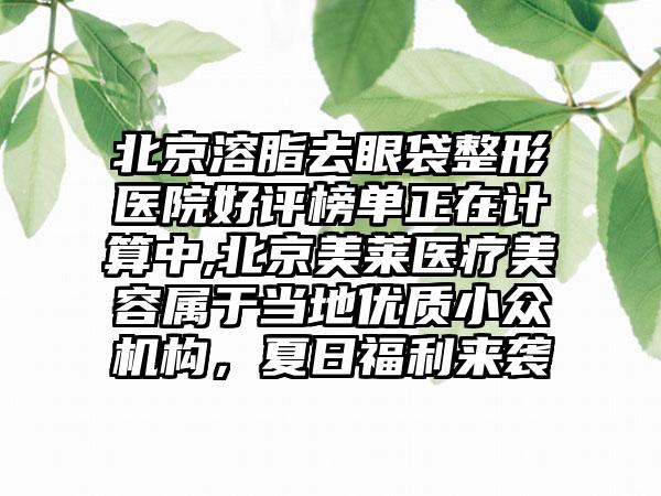 北京溶脂去眼袋整形医院好评榜单正在计算中,北京美莱医疗美容属于当地优质小众机构，夏日福利来袭