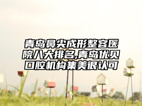 青岛鼻尖成形整容医院八大排名,青岛优贝口腔机构集美很认可