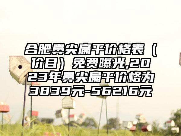 合肥鼻尖扁平价格表（价目）免费曝光,2023年鼻尖扁平价格为3839元-56216元