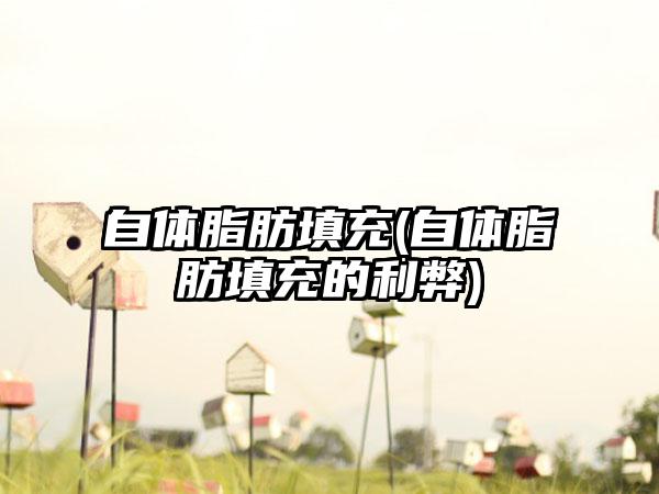 自体脂肪填充(自体脂肪填充的利弊)