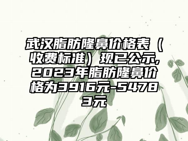 武汉脂肪隆鼻价格表（收费标准）现已公示,2023年脂肪隆鼻价格为3916元-54783元