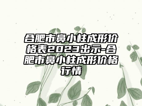 合肥市鼻小柱成形价格表2023出示-合肥市鼻小柱成形价格行情