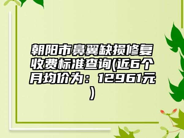 朝阳市鼻翼缺损修复收费标准查询(近6个月均价为：12961元)