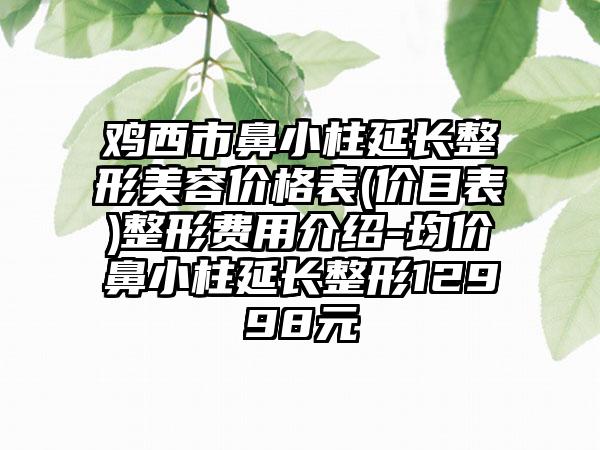 鸡西市鼻小柱延长整形美容价格表(价目表)整形费用介绍-均价鼻小柱延长整形12998元