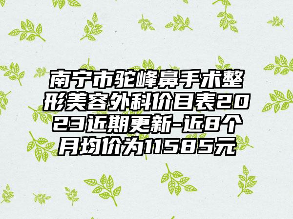 南宁市驼峰鼻手术整形美容外科价目表2023近期更新-近8个月均价为11585元