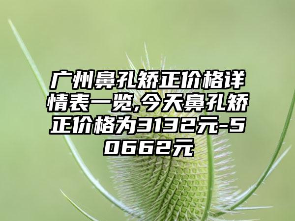 广州鼻孔矫正价格详情表一览,今天鼻孔矫正价格为3132元-50662元