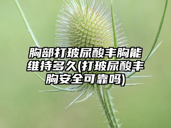 胸部打玻尿酸丰胸能维持多久(打玻尿酸丰胸安好可靠吗)