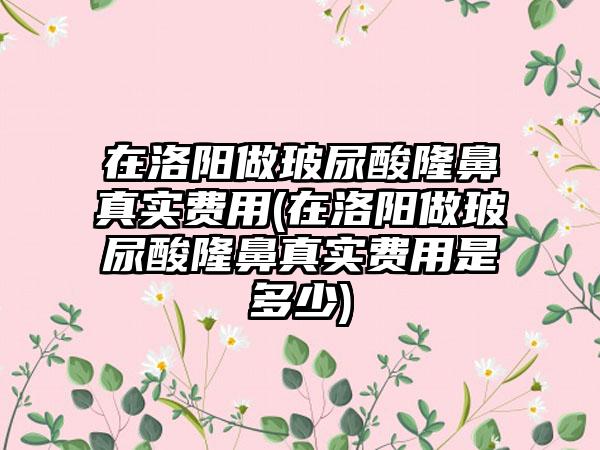 在洛阳做玻尿酸隆鼻真实费用(在洛阳做玻尿酸隆鼻真实费用是多少)