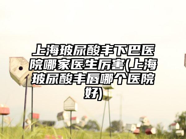 上海玻尿酸丰下巴医院哪家医生厉害(上海玻尿酸丰唇哪个医院好)