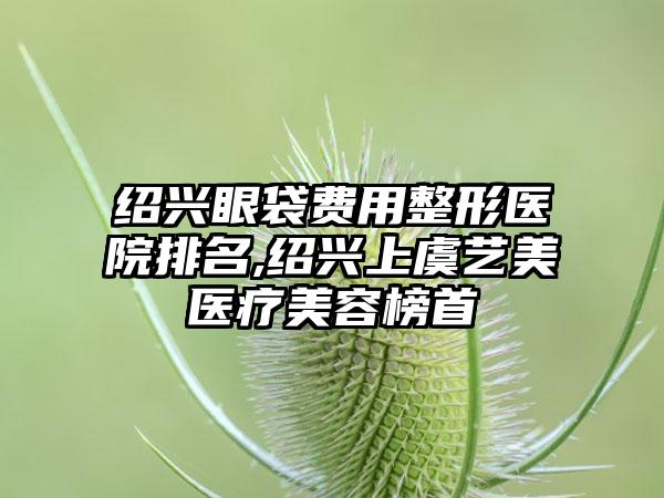 绍兴眼袋费用整形医院排名,绍兴上虞艺美医疗美容榜首