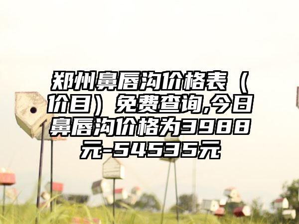 郑州鼻唇沟价格表（价目）免费查询,今日鼻唇沟价格为3988元-54535元