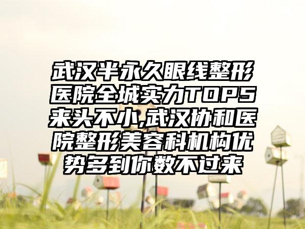 武汉半恒久眼线整形医院全城实力TOP5来头不小,武汉协和医院整形美容科机构优势多到你数不过来