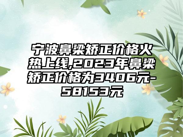 宁波鼻梁矫正价格火热上线,2023年鼻梁矫正价格为3406元-58153元