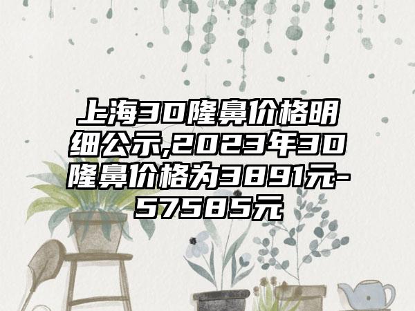 上海3D隆鼻价格明细公示,2023年3D隆鼻价格为3891元-57585元