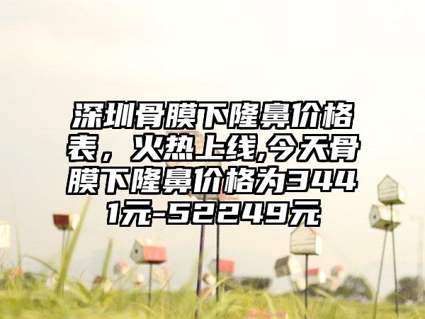 深圳骨膜下隆鼻价格表，火热上线,今天骨膜下隆鼻价格为3441元-52249元