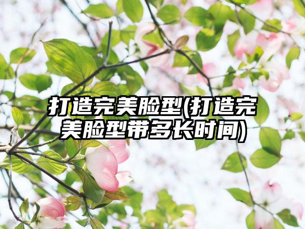 打造理想脸型(打造理想脸型带多长时间)