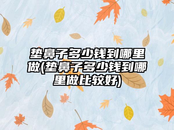 垫鼻子多少钱到哪里做(垫鼻子多少钱到哪里做比较好)