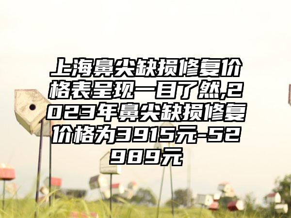 上海鼻尖缺损修复价格表呈现一目了然,2023年鼻尖缺损修复价格为3915元-52989元