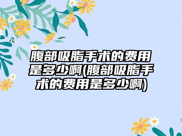 腹部吸脂手术的费用是多少啊(腹部吸脂手术的费用是多少啊)