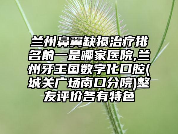 兰州鼻翼缺损治疗排名前一是哪家医院,兰州牙王国数字化口腔(城关广场南口分院)整友评价各有特色