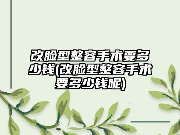 改脸型整容手术要多少钱(改脸型整容手术要多少钱呢)