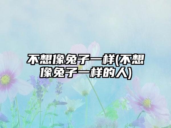 不想像兔子一样(不想像兔子一样的人)