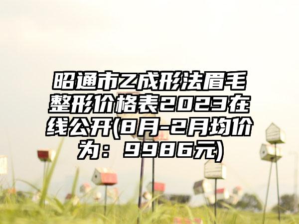 昭通市Z成形法眉毛整形价格表2023在线公开(8月-2月均价为：9986元)