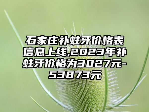 石家庄补蛀牙价格表信息上线,2023年补蛀牙价格为3027元-53873元