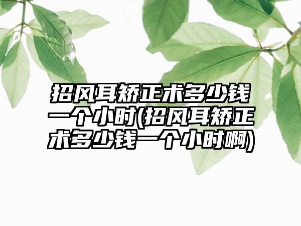 招风耳矫正术多少钱一个小时(招风耳矫正术多少钱一个小时啊)